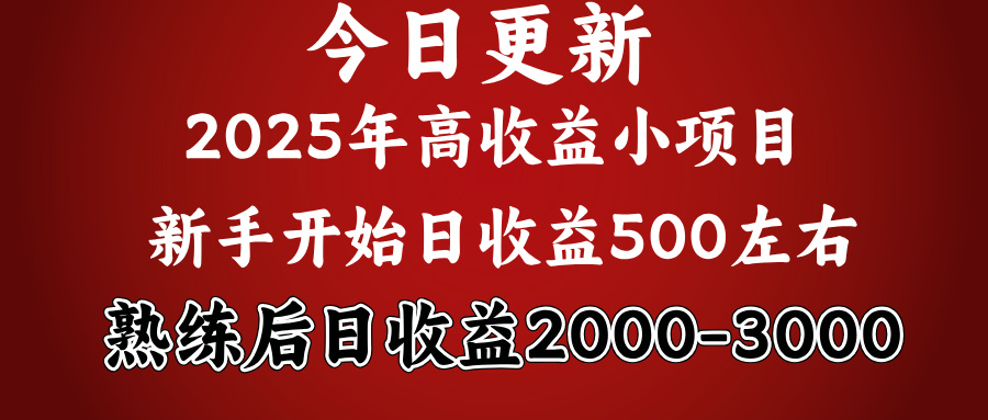 2025开年好项目，新手日收益500+ 熟练掌握后，日收益平均2000多云创网-网创项目资源站-副业项目-创业项目-搞钱项目云创网