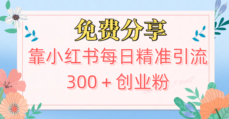 2025最新引流！靠小红书每日精准引流300＋创业粉云创网-网创项目资源站-副业项目-创业项目-搞钱项目云创网