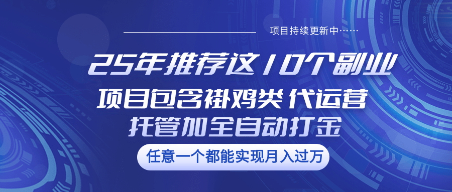 25年推荐这10个副业 项目包含褂鸡类、代运营托管类、全自动打金类云创网-网创项目资源站-副业项目-创业项目-搞钱项目云创网