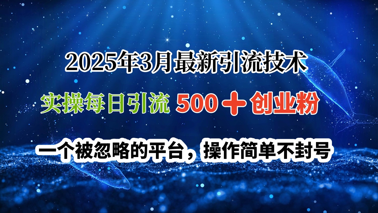 2025年3月最新引流技术，实操每日引流500➕创业粉，一个被忽略的平台，操作简单不封号云创网-网创项目资源站-副业项目-创业项目-搞钱项目云创网