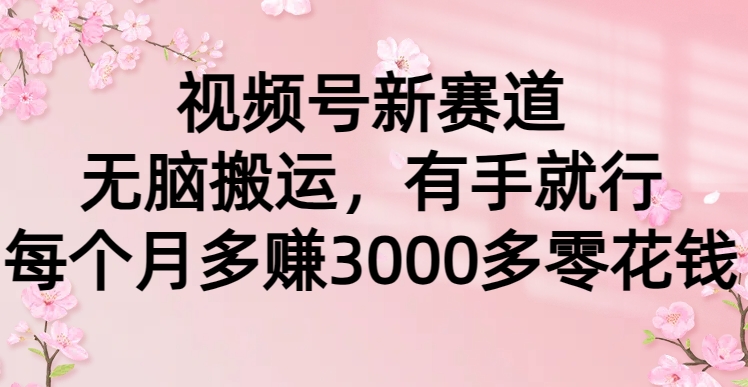 视频号新赛道，无脑搬运，有手就行，每个月多赚3000多零花钱云创网-网创项目资源站-副业项目-创业项目-搞钱项目云创网